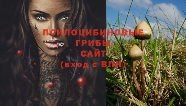 spice Осинники