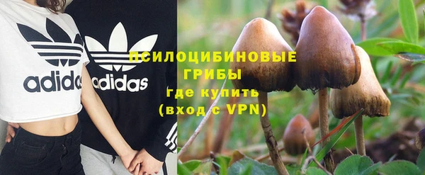spice Осинники