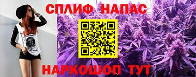 индика Апшеронск