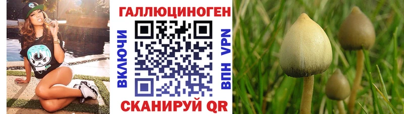darknet клад  Кызыл  Галлюциногенные грибы Cubensis  где можно купить  
