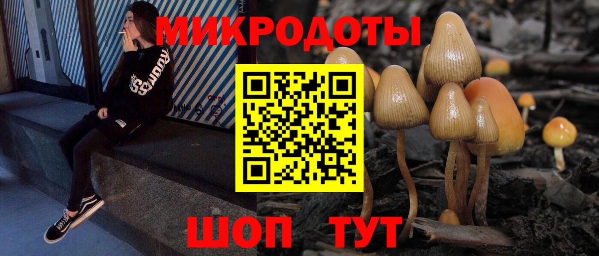 Псилоцибиновые грибы GOLDEN TEACHER Кызыл